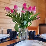 Orman Evi Letniskowe Na Slonecznym Wzgorzu Władysławowo