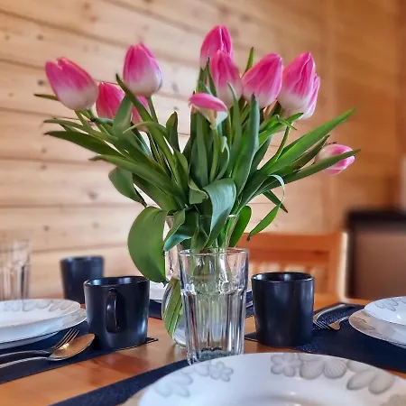 بيت خشبي Na Slonecznym Wzgorzu Władysławowo